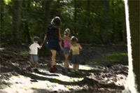 Promenade en forêt