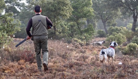 A savoir avant de chasser le petit gibier