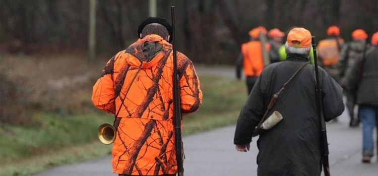Chasser le gros gibier en battue