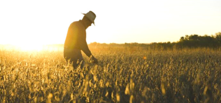 vetement travail agriculteur