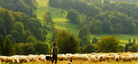 vetement de travail eleveur